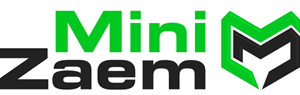 Mini zaem